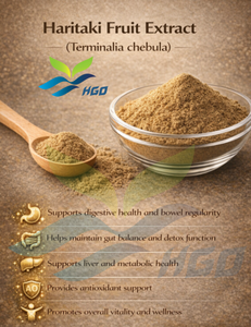 Suministro Directo de Fábrica de Extracto de Fruta de Haritaki Natural (Terminalia chebula) Especificación de Grado Alimenticio Extracto con Relación 10:1 - Product Image 3