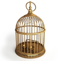 Cage à oiseaux en fer doré écologique, amovible, moderne et personnalisable, pour décoration de mariage, avec support pour fleurs, bougies et guirlandes lumineuses