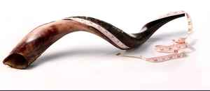 Cuerno vikingo natural para beber y soplar - Product Image 4