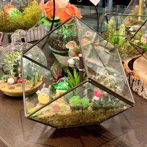 GET0406BK - Terrarium en verre géométrique noir incliné en forme de cube - 8,5 - Product Image 4