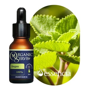 Aceite Esencial Orgánico 100% Puro de Grado Cosmético 15ml con Orégano y Vetiver, Función Hidratante, Suministro OEM - Product Image 1