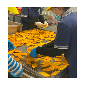 Soft Dried Mango Snack Provides Quick Energy Boost And Supports Refreshing Feeling During Busy Daily Activities - Product Image 5