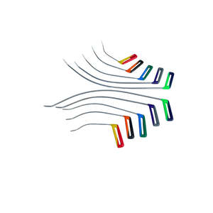 Batumi Edition Juego de varillas de reparación de abolladuras sin pintura en forma de arcoíris de doble curva de 10 piezas 25cm 35cm 50cm 60cm 70cm Reparación de cuerpo de punta afilada - Product Image 3