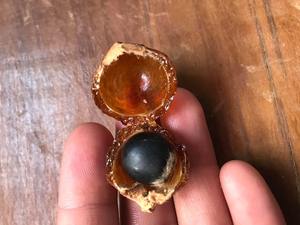 ผงสบู่สำหรับทำผม100กรัม250กรัมธรรมชาติและคุณภาพสูงจากเวียดนาม - Product Image 2