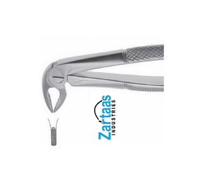 คีมถอนรากฟันสแตนเลสคุณภาพสูง รุ่นถอนรากฟันล่าง ผู้ผลิตและผู้ส่งออก 33 ราย - Product Image 1