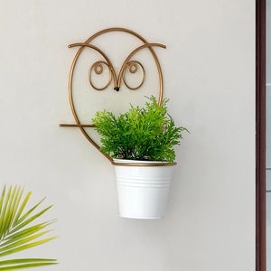 Ensemble de pots de fleurs muraux en fer galvanisé de 10 pouces, design rond avec finition laiton pour la décoration de la maison et du jardin, support de pot de fleurs - Product Image 2