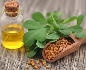Precio de fabricante al por mayor de aceite esencial de fenogreco aceite esencial de calidad orgánica certificado ISO para grado de aromaterapia India - Product Image 2