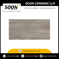 Nouvelle arrivée Carreaux muraux 25x50 cm pour salle de bain et chambre à coucher Décoration murale Carreaux muraux en céramique numérique de fournisseur indien