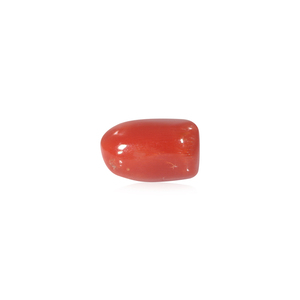 ลูกปัดปะการังสีแดง 8.37 กะรัต เครื่องประดับเปลือกหอยและปะการัง - Product Image 2