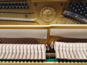 Piano Vertical Yamaha U1A de Alta Calidad con Acabado Negro, Tapa de Madera Sólida, Diseño Clásico y Tacto Suave (400+ U1) - Product Image 4