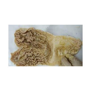 Abomasum de bœuf semi-cuit peut fournir une texture et une saveur uniques aux plats à bas prix - Product Image 5