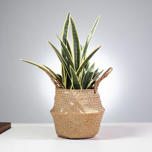 Vietnam SF2027 bambú Natural ratán y agua Jacinto algas marinas organizador de oficina diseño Flexible respetuoso con el medio ambiente duradero - Product Image 2