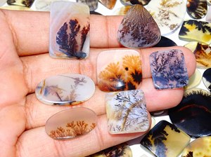 Belle naturelle Shazar dendritique Agate Quartz pierres précieuses Cabochon mélange forme lot en gros pour la fabrication de bijoux - Product Image 2