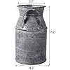 Maceta y maceta ecológica de hierro galvanizado pequeño rústico para uso en el suelo hogar cocina sala de estar decoración fresca para el hogar - Product Image 2