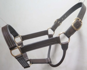 Cabestro de cuero para caballo con detalles en latón, accesorios ecuestres, equipo de equitación - Product Image 1
