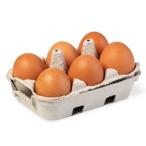 Œufs de poule frais congelés bio en stock, livraison rapide, prix bas, blancs et bruns, France, durée de conservation 24 mois, en promotion - Product Image 5
