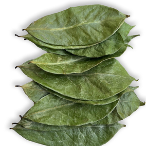 Proveedor de hojas de Guanábana, hojas secas naturales de Vietnam a precio barato y alta calidad para exportación - Product Image 3