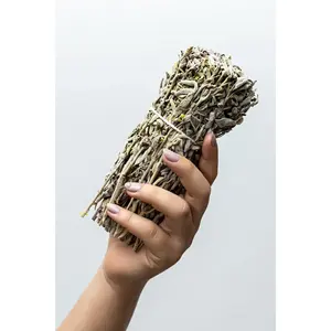 Rafraîchisseurs d'air Sage Bunch - Product Image 1