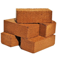 Fournisseur brique de noix de coco écologique meilleur prix sur le marché/haute qualité