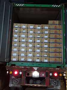 Plátanos Frescos Laba al por Mayor de Vietnam 2025, Plátanos de Exportación de Alta Calidad, Marca Viet Seafarm, Empaque en Caja de Cartón - Product Image 6