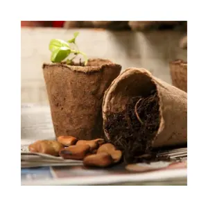 Vendita calda Coco coir pot 2023 Amazon per piantare semi adatti al tuo stile verde 99GD