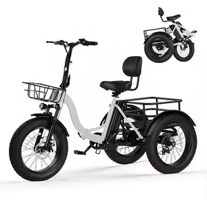 Triker Plus <b>Electric</b> <b>Bike</b> 1200W Brushless Motor Lithium Battery Aluminum Frame 12 Speed <b>Electric</b> Tricycle <b>Adults</b> 12V 70Ah - Product Image 1