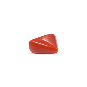 Cuentas de Coral Rojo de 7.71 Quilates, Joyería de Hueso de Concha y Coral - Product Image 2