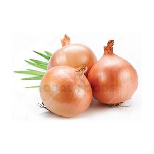 หัวหอมสด ขนาด 6-8 ซม. สีเหลือง/แดง ขายส่ง ราคาดี ปี 2025 ผลผลิตใหม่ล่าสุด คุณภาพสูง หัวหอมสดส่งออก - Product Image 5