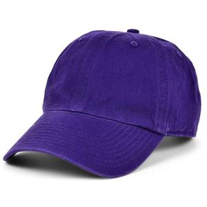 Casquette de baseball professionnelle de haute qualité, 6 panneaux, imperméable, imprimé animal, décoration perlée, style image, casquette de sport pour usage quotidien - Product Image 5
