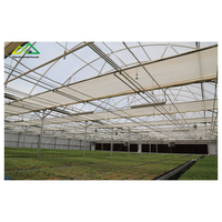Hotsales Grote Multi-Span Foliekas Eenvoudige Montage Commerciële Schaal Polyethyleen Structuur voor Hoge Opbrengst Groenten Fruit