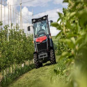Tracteur Massey Ferguson 3600 M Prix de gros de qualité supérieure Livraison rapide Achetez maintenant pour des performances agricoles fiables - Product Image 2