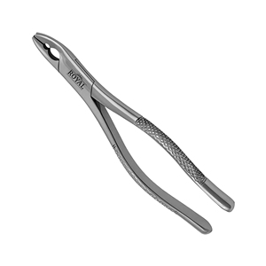 Pinzas dentales quirúrgicas para dentista con acabado de espejo de diseño personalizado, alicates de extracción Dental de acero metálico, Manual de extracción de mango bajo - Product Image 3