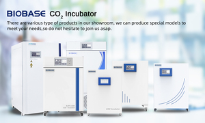 Incubateur CO2 BIOBASE de qualité supérieure avec enveloppe thermique de 80 L 180 ℃   Incubateur de stérilisation à chaleur sèche pour cultures cellulaires de laboratoire pour FIV BJPX-C80D - Product Image 5