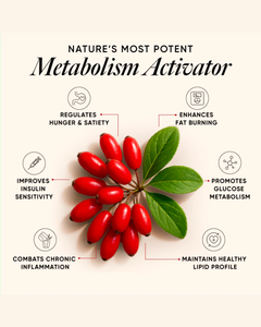 Berberina HCL+ de Liberación Prolongada con Canela de Ceilán y Cromo para el Equilibrio del Azúcar y el Cuidado Digestivo - Product Image 5