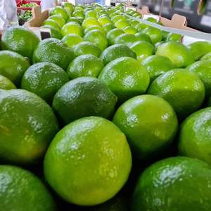 Limón/Lima sin Semillas Frescas de Vietnam, Ricas en Nutrientes - Product Image 3