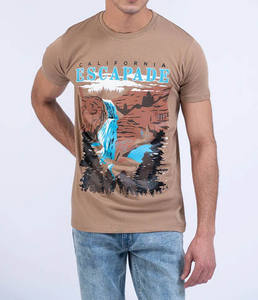 Camisetas Personalizadas al por Mayor de Alta Calidad a Precio de Fábrica, Estilo Hip Hop para Hombre, Ecológicas, 100% Algodón, para Impresión - Product Image 4