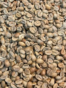 HANCOFFEE Granos de Café Verde Arábica y Robusta Vietnamita Premium, Venta al por Mayor, Crudos, Sin Tostar, a Granel, Proveedor de Exportación de Fábrica, OEM/ODM - Product Image 2