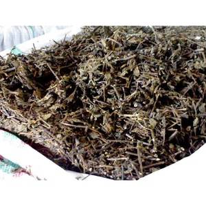 FEUILLE DE GELÉE D'HERBE/GELÉE D'HERBE EN POUDRE-FEUILLES DE GELÉE D'HERBE NOIRE CRUE AVEC QUANTITÉ EN VRAC POUR L'EXPORTATION DE 99GD - Product Image 4