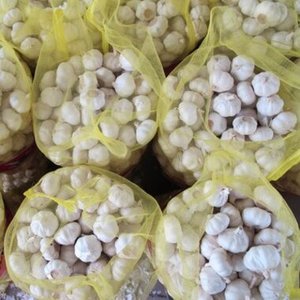 Ail frais de la nouvelle récolte avec de gros bulbes blancs de qualité supérieure, arôme intense, cuisine indonésienne, approvisionnement en vrac pour l'exportation - Product Image 1