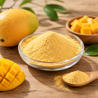Groothandel Natuurlijk Mango Poeder Mango Fruit Poeder Voedingsmiddelenkwaliteit Drank Bakken OEM ODM Private Label Bulk Fabriek Leverancier