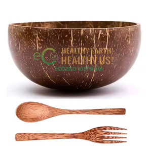 Bol à glace en coque de noix de coco naturelle de 500 ml, artisanal, écologique, avec logo personnalisé, de Eco2go Vietnam - Product Image 2