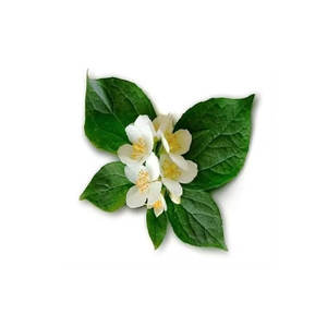 Huile essentielle de néroli Huile de support d'étiquette personnalisable pour cosmétiques et aromathérapie Prix d'exportation en vrac - Product Image 1