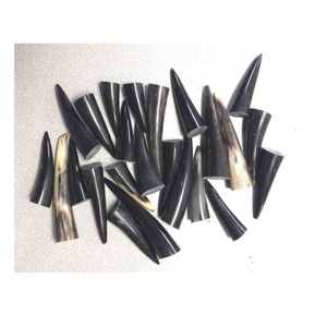 Punta de Cuerno y Color de Cuerno Natural, Cuerno Natural Nuevo de Alta Calidad Hecho en el Mejor Producto para Venta - Product Image 4