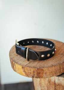 Collar de perro con tachuelas clásico-30mm-Negro inteligente - Product Image 5