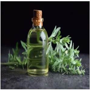 Fabricantes de fábrica al por mayor de aceite esencial de artemisa puro y natural más vendido a precios de fábrica al por mayor de India - Product Image 3