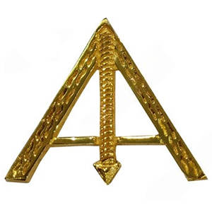 เครื่องประดับทองคำสำหรับปกเสื้อของผู้เชี่ยวชาญ AASR ประจำปี 2025 - Product Image 4