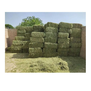 ใหม่ดีที่สุด ODM คุณภาพสูงเบลของหญ้า Alfalfa Hay Rhodes และอาหารสัตว์ Alfalfa Hay สําหรับขาย - Product Image 4