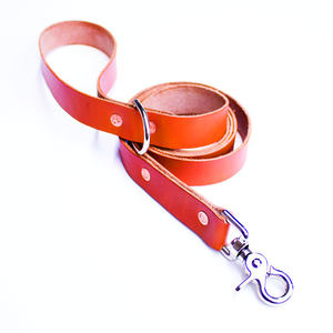 Correa de perro de lujo de alta calidad suave y cómoda de cuero acolchado de terciopelo ajustable y personalizada correa para mascotas - Product Image 6