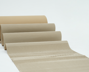 กระดาษลูกฟูกสีเขียวม้วนเวียดนาม - Product Image 4