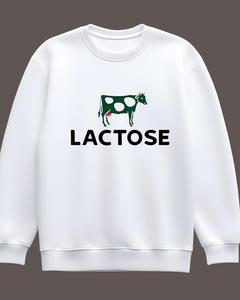 Custom Logo High Quality 350gsm Cotton Pullover Oversized Hoodie Unisex Black Heavyweight Sweatshirt Hoodie for Men - Product Image 5